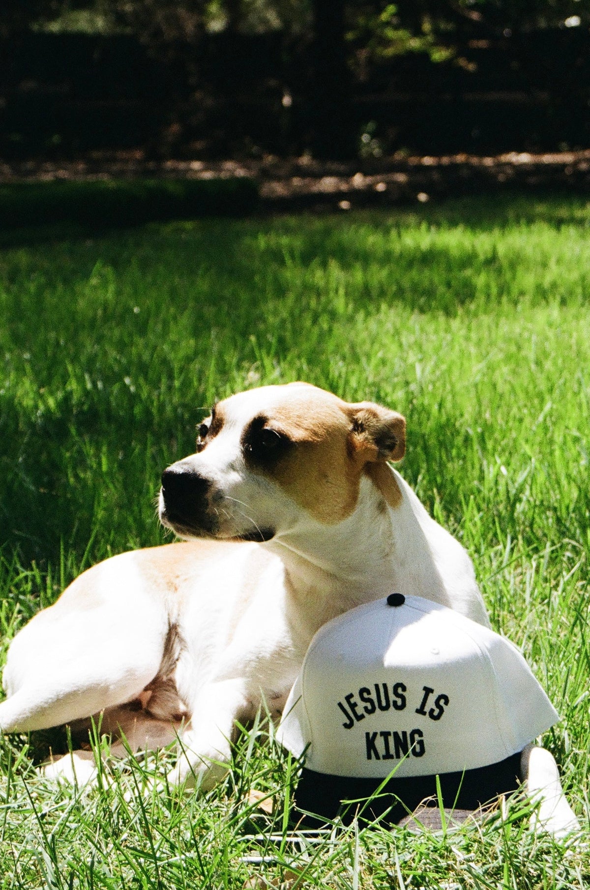 OG 2 HAT BUNDLE